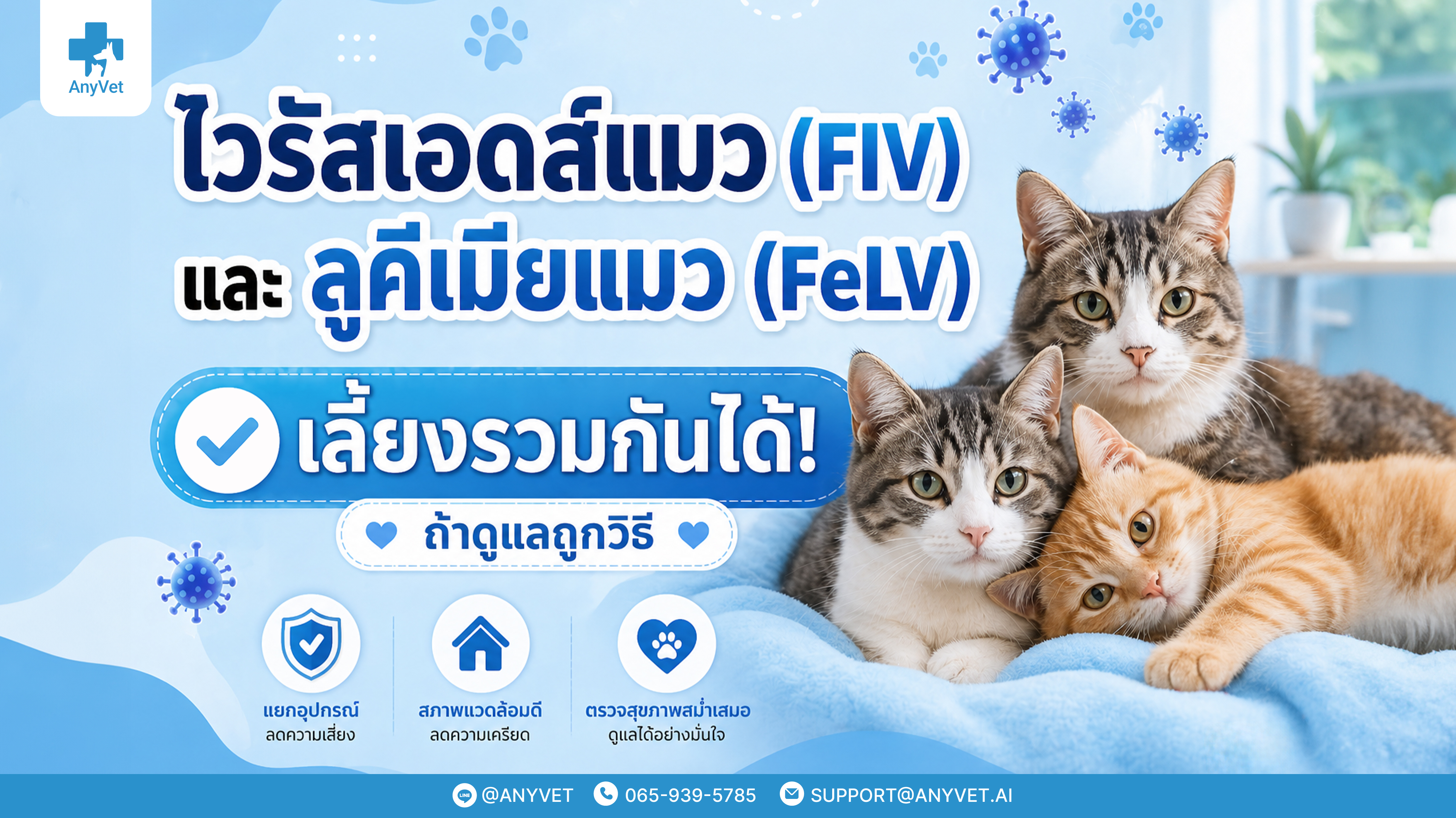 Can Cats with FIV and FeLV Live with Other Cats? Care Guide & Benefits of AnyVet Microchip